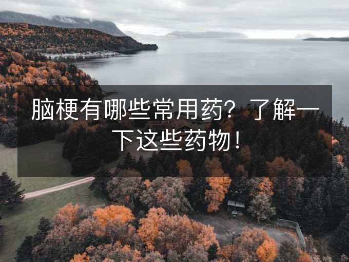 脑梗有哪些常用药？了解一下这些药物！